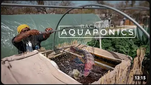 YouTube video thumbnail for "Backyard Aquaponics" documentary by Paragraphic, featuring Charles Collins.